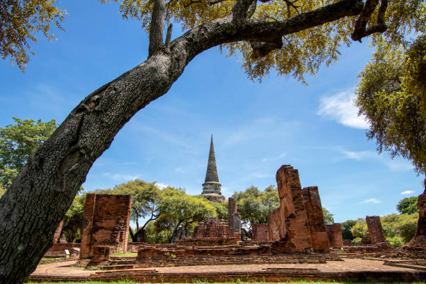 wat phra sri sanphet jest ważną i historyczną atrakcją w prowincji ayutthaya w tajlandii. - sanphet palace zdjęcia i obrazy z banku zdjęć
