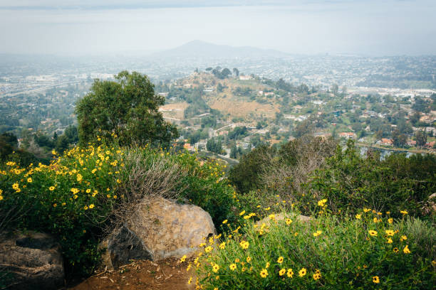 istock Flowers and view from Mount Helix, in La Mesa, California 1284149744