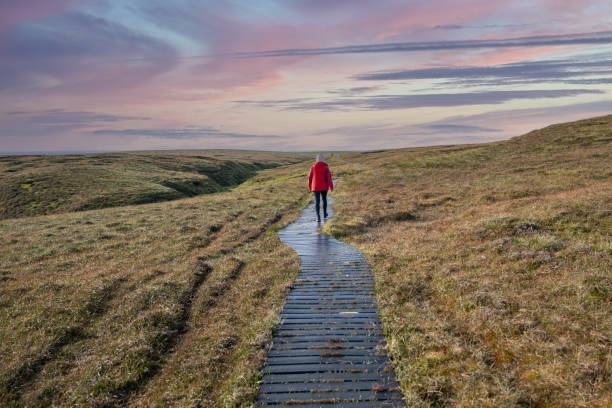 A tourist in a red jacket hikes on the wooden pathway to Hermaness National Nature Reserve in Unst, the northernmost island of the Shetland Islands.