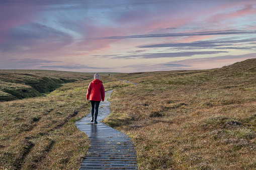 A tourist in a red jacket hikes on the wooden pathway to Hermaness National Nature Reserve in Unst, the northernmost island of the Shetland Islands.