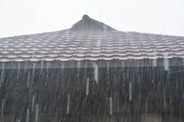 istock Torrential rain which often occurs during the day 1284150860