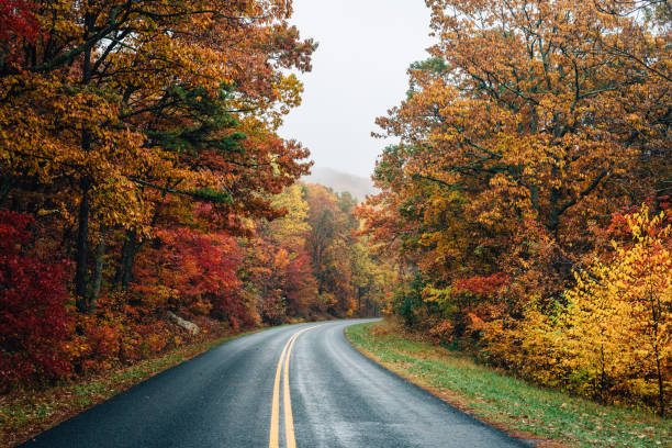 cor de queda ao longo do blue ridge parkway na virgínia - blue ridge mountains appalachian mountains appalachian trail forest - fotografias e filmes do acervo