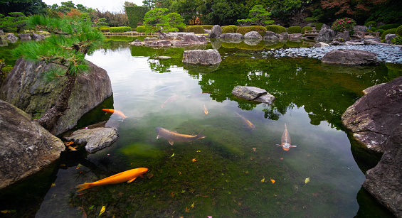 Ohori Park Japanese Garden in Fukuoka city November/27/2015 Ohori park with its Koi pond and traditional gardens. The park is popular for tourists and people walking around the city area to visit.