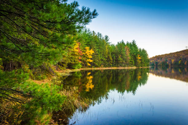 Autumn reflections in Long Pine Run Reservoir, in Michaux State Forest, Pennsylvania. stock photo