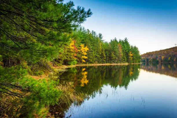 Autumn reflections in Long Pine Run Reservoir, in Michaux State Forest, Pennsylvania.