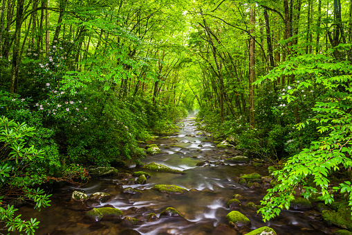 The Oconaluftee River, at Great Smoky Mountains National Park, North Carolina
