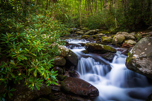 Cascades on Roaring Fork, in Great Smoky Mountains National Park, Tennessee