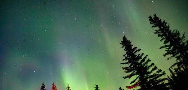 istock Northern Lights Over Alaska 1284158812