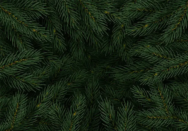 Vector illustration of Christmas tree branches. Festive Xmas border of green branch of pine. Pattern pine branches, spruce branch. Realistic design decoration elements. Vector illustration