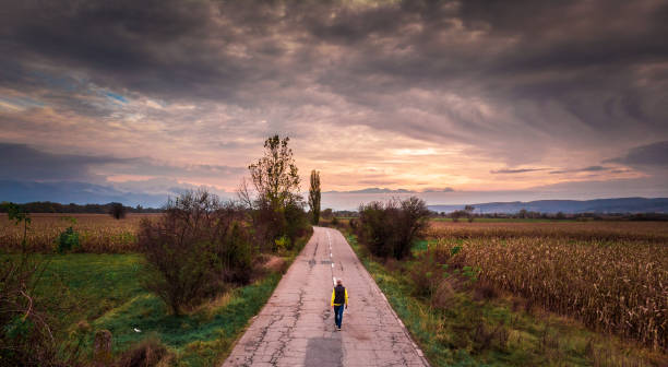 Drone image depicting an aerial view of a backpacker walking alone in the middle of a straight rural country road, surrounded by agricultural meadows and forest. Room for copy space.