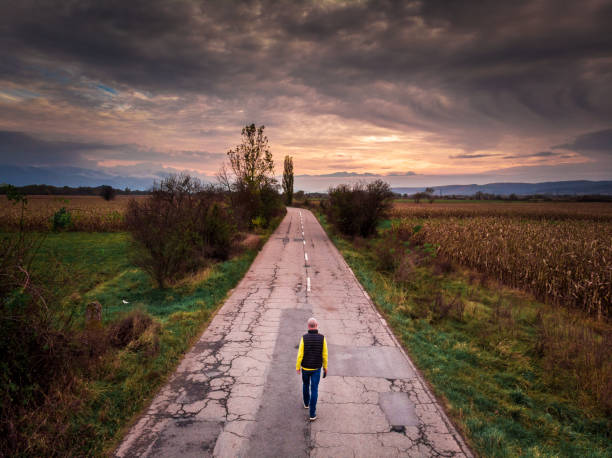Drone image depicting an aerial view of a backpacker walking alone in the middle of a straight rural country road, surrounded by agricultural meadows and forest. Room for copy space.