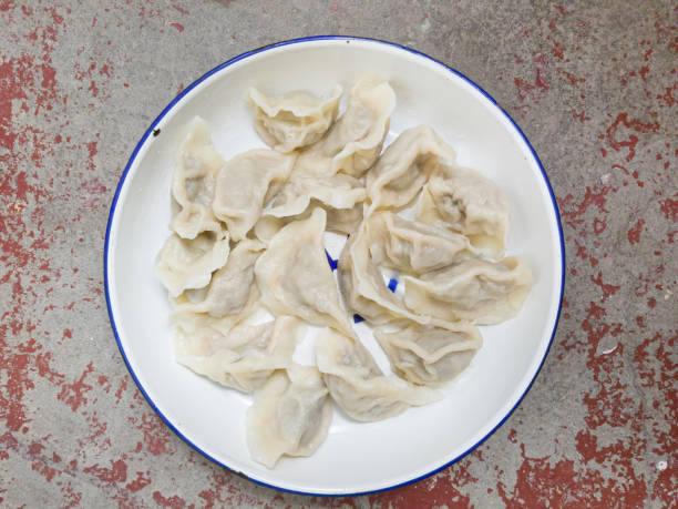 chinese dumpling(jiaozi) - fine dining grilled spring onion healthy lifestyle imagens e fotografias de stock