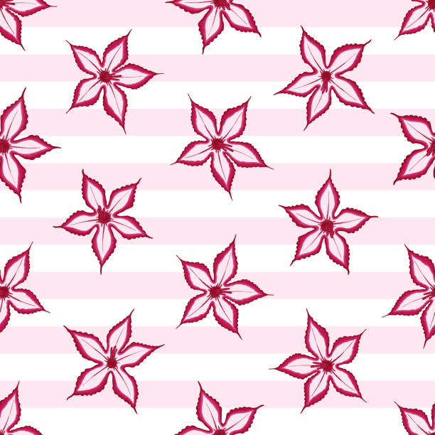 Pink Impala seamless pattern with stripes background. Desert wild flower concept. Vector illustration pattern for surface, t shirt design, print, poster, icon, web, graphic designs. Pink Impala seamless pattern with stripes background. Desert wild flower concept. Vector illustration pattern for surface, t shirt design, print, poster, icon, web, graphic designs. adenium obesum stock illustrations