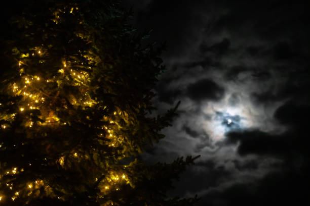 istock Christmas Tree Light up with a Full Moon in the Background 1284168619