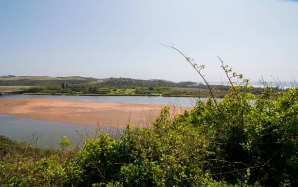 istock Dense Bush Growing on the Banks of a Shallow River 1284171445