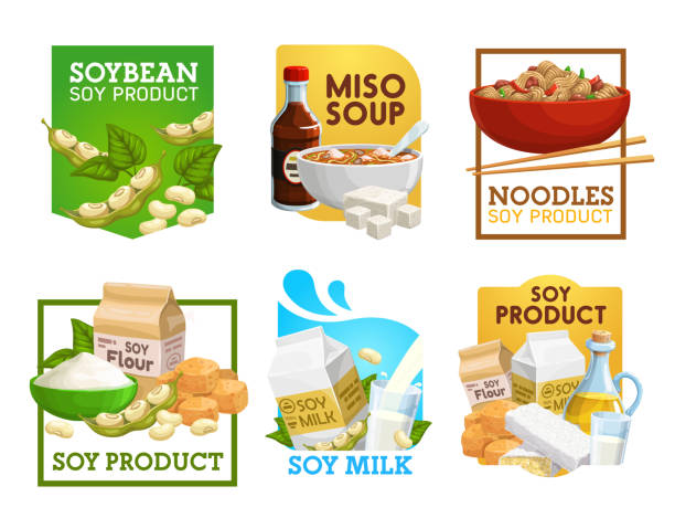 soja-lebensmittel und sojabohnen-produkte vektor-icons gesetzt - soy products stock-grafiken, -clipart, -cartoons und -symbole