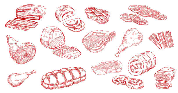 свиная колбаса, меяная ветчина и мясо ягненка эскиз вектор - мясо stock illustrations