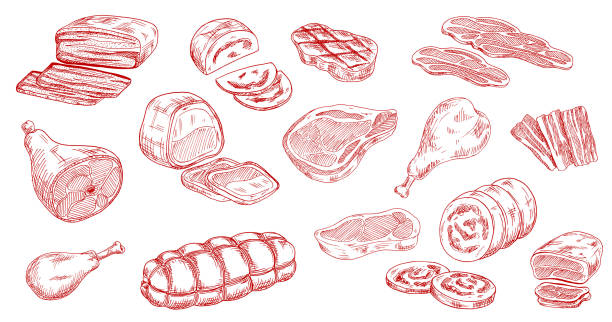 Pork sausage, veal ham and lamb meat sketch vector Pork sausage, veal beef and lamb steak sketches. Bacon, ham and jamon leg, meat roll, chicken or turkey legs, sirloin, brisket and mortadella engraved vectors set. Raw and processed meat products meat stock illustrations