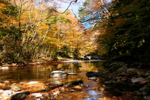 istock Mountain streams and beautiful autumn leaves 1284172614