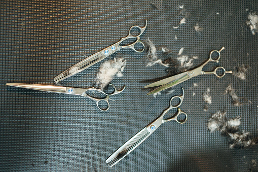 Set of grooming tools for pets in the grooming salon.