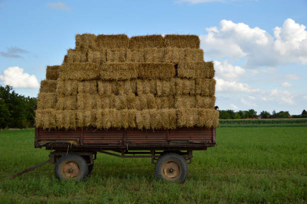 istock straw hay bales at the trolley 1284177535