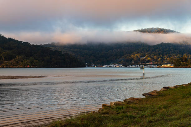 istock Misty morning at the river 1284186030