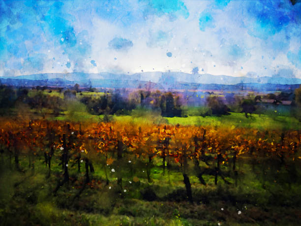 istock Vipava valley, Ozeljan - vineyard view 1284188902