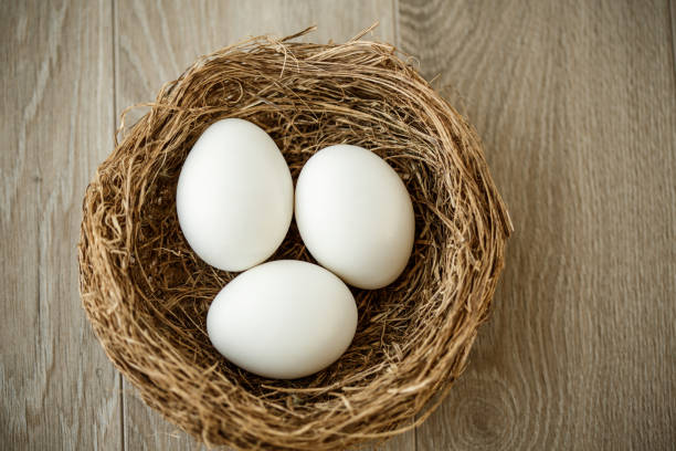 istock Bird nest with white eggs inside of it 1284190670