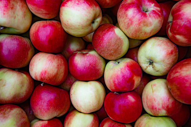 istock many red apples filled in the whole background 1284191831