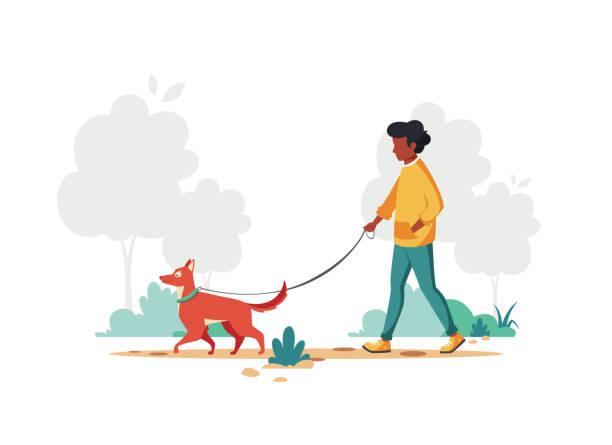 Black man walking with dog. Outdoor activity concept. Vector illustration. Vector illustration for cards, icons, postcards, banners, logotypes, posters and professional design. landscape nature plant animal stock illustrations