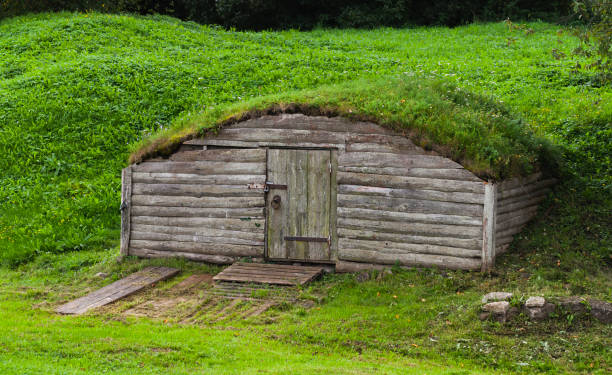 vieille cave en bois dans la colline couverte d’herbe - pit house photos et images de collection