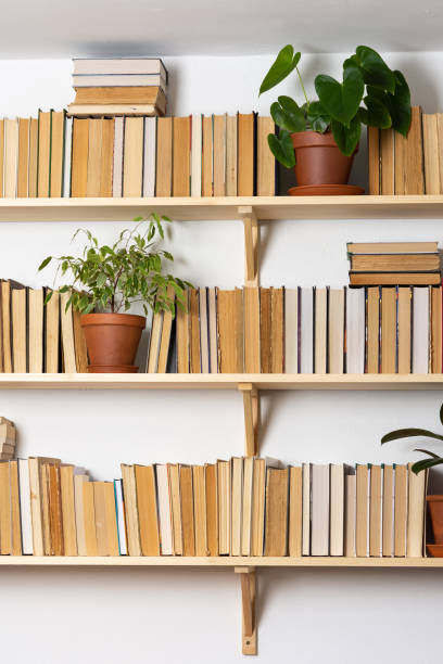 istock Indoor flowers on the bookshelves 1284198604