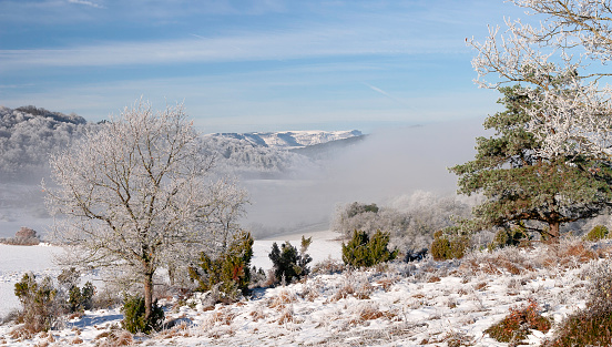 view of snow-capped mountains with trees in the background and fog in a sunrise in winter season