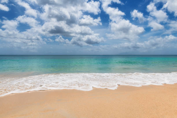 istock Paradise beach and sea background 1284204088