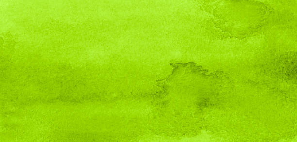 istock Bright green paper-based watercolor background, hand-drawn with a brush. 1284204280