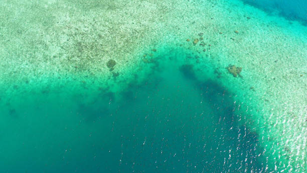 istock Corals in clear blue sea water 1284205833
