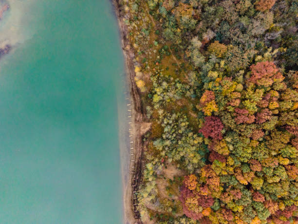 istock Lake and Forest on Coastline in Autumn From Directly Above 1284205938