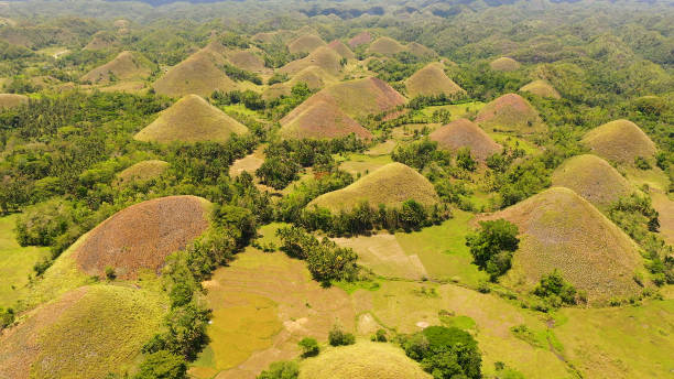 Chocolate hills.Bohol Philippines Famous Chocolate Hills natural landmark, Bohol island, Philippines. Hills among farmlands. chocolate hills photos stock pictures, royalty-free photos & images