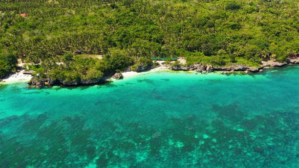 istock Coast with a beach and blue sea. Anda Bohol, Philippines 1284207214