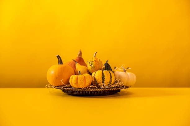 Fresh pumpkins on orange color background