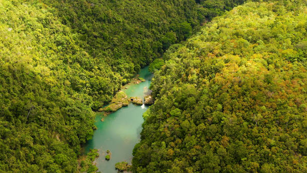 istock Loboc river in the jungle. Bohol, Philippines 1284208226