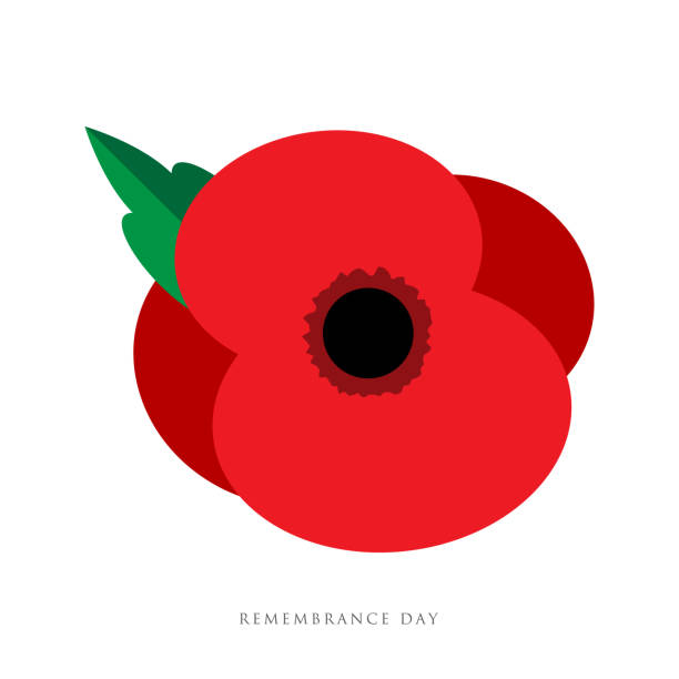 der gedenktag. mohn-appeal. blume zum gedenktag, memorial day, anzac day in neuseeland, australien, kanada und großbritannien. - war symbols of peace conflict army stock-grafiken, -clipart, -cartoons und -symbole