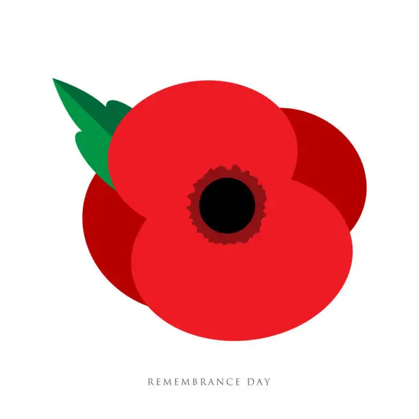 Vector illustration of The remembrance day. Poppy appeal. Flower for Remembrance Day, Memorial Day, Anzac Day in New Zealand, Australia, Canada and Great Britain.