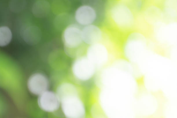 istock Nature background images abstract blur and bokeh for design. 1284209772
