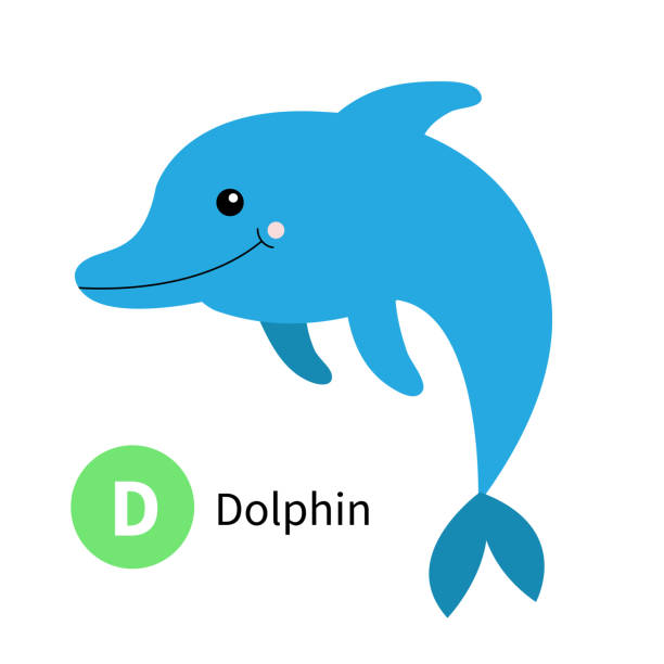 470+ Dolphin Head Illustrations, Royalty-Free Vector Graphics & Clip ...