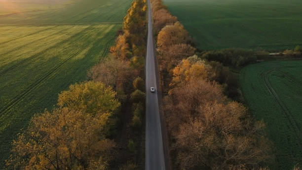 widok z lotu ptaka samochód elektryczny jazdy na country road. luksusowy nowoczesny pojazd szybki wzdłuż drzew i pól. kinowy dron nakręcony nad żwirową drogą z drzewami o zachodzie słońca - car green nature landscape zdjęcia i obrazy z banku zdjęć