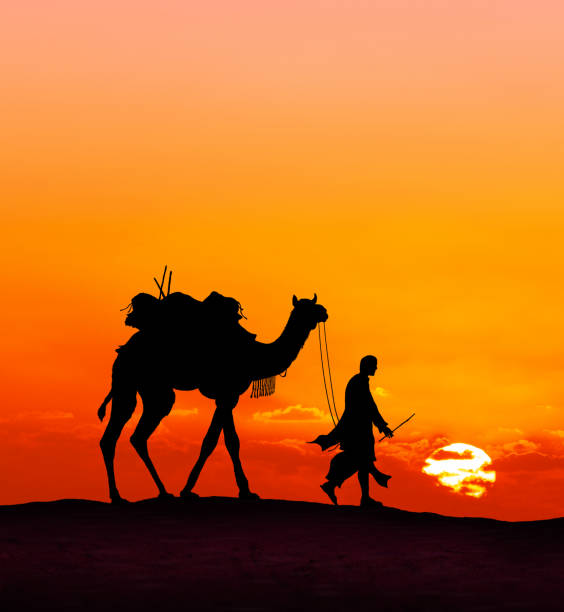 Bedouin with camel walking in desert at beautiful sunset - Image manipulation