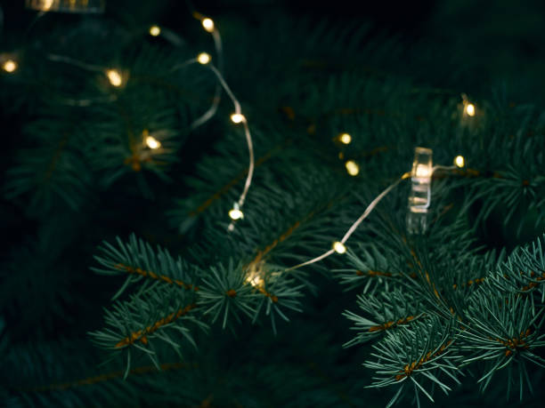 istock Christmas fir branches with garland defocused lights 1284216139