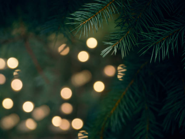 istock Christmas fir branches with garland defocused lights 1284216165