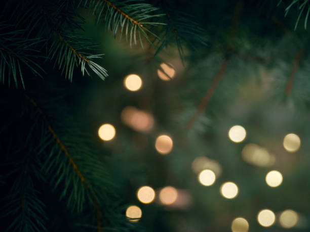 istock Christmas fir branches with garland defocused lights 1284216964